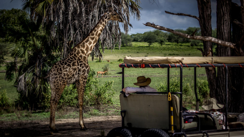 Lake Manze Tented Camp