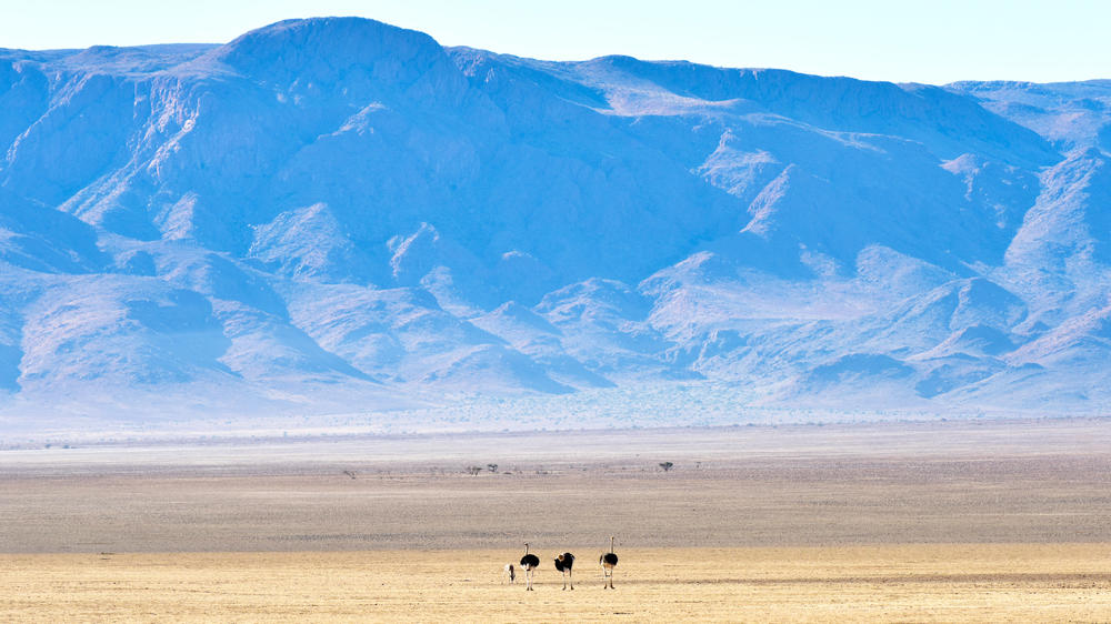 NamibRand Nature Reserve