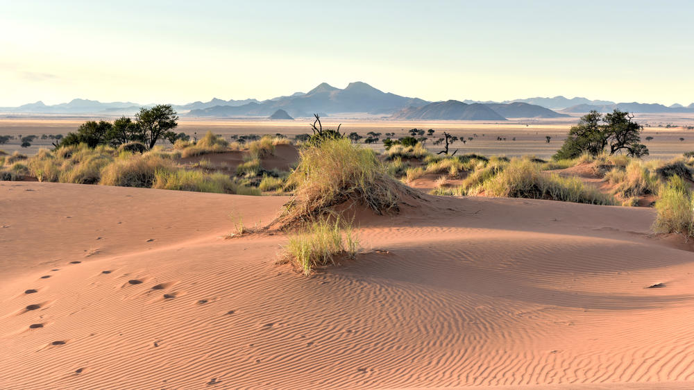 NamibRand Nature Reserve