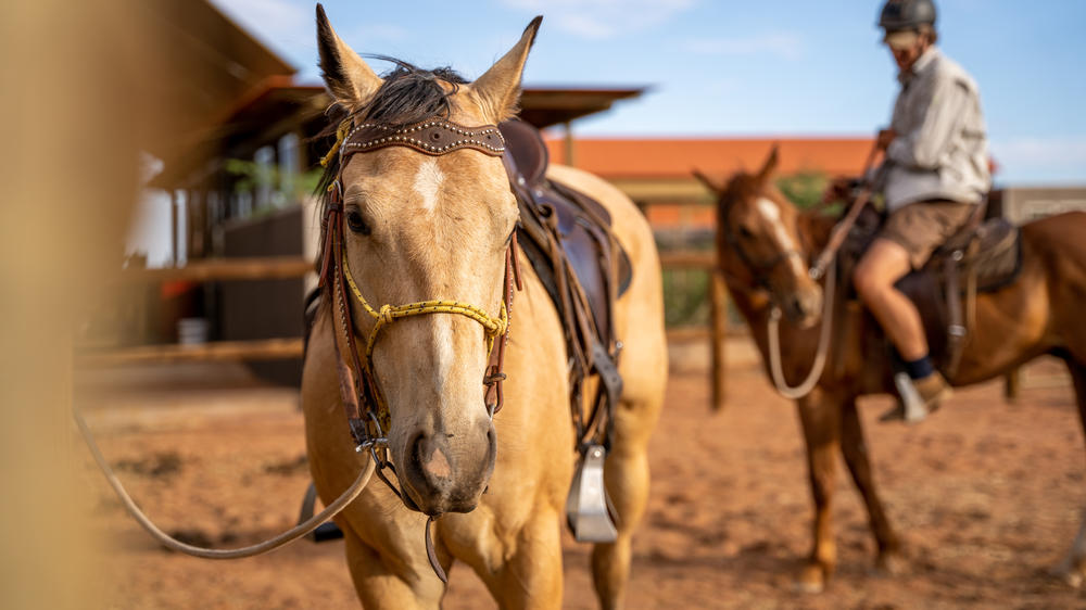 Wolwedans Desert Lodge