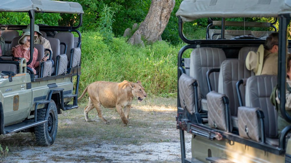 ATC- Saguni Safari Lodge