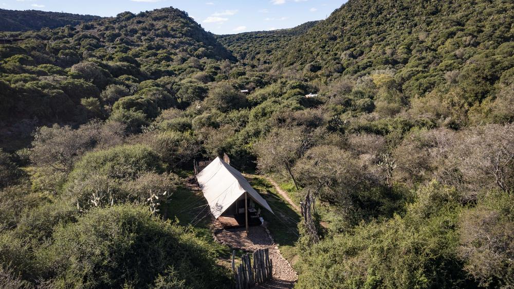 Amakhala Quatermain's Camp