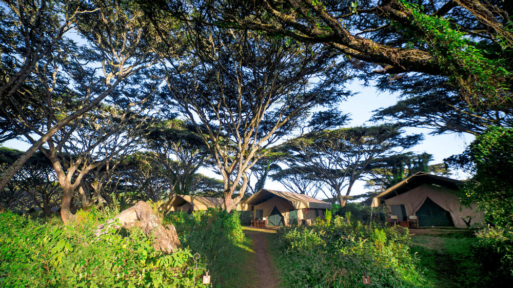 Lemala Ngorongoro Tented Camp