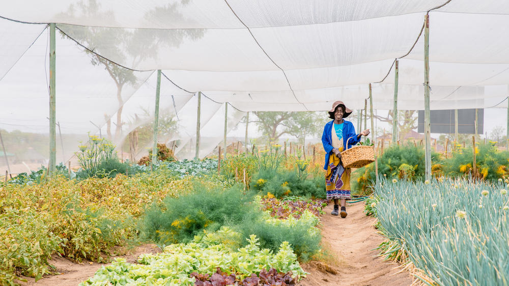 Simbambili Game Lodge