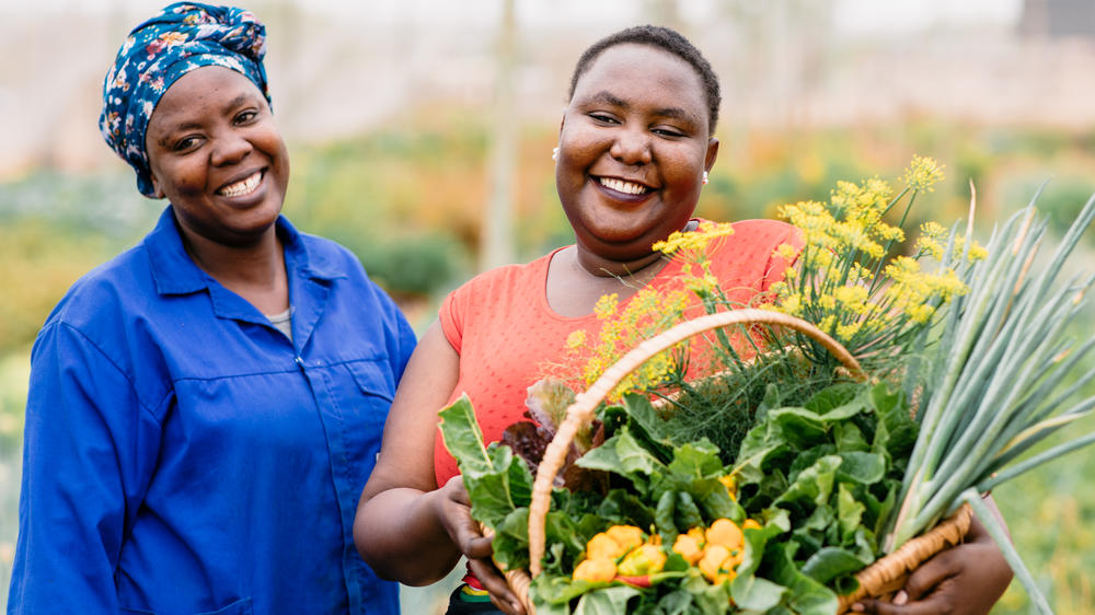 Simbambili Game Lodge