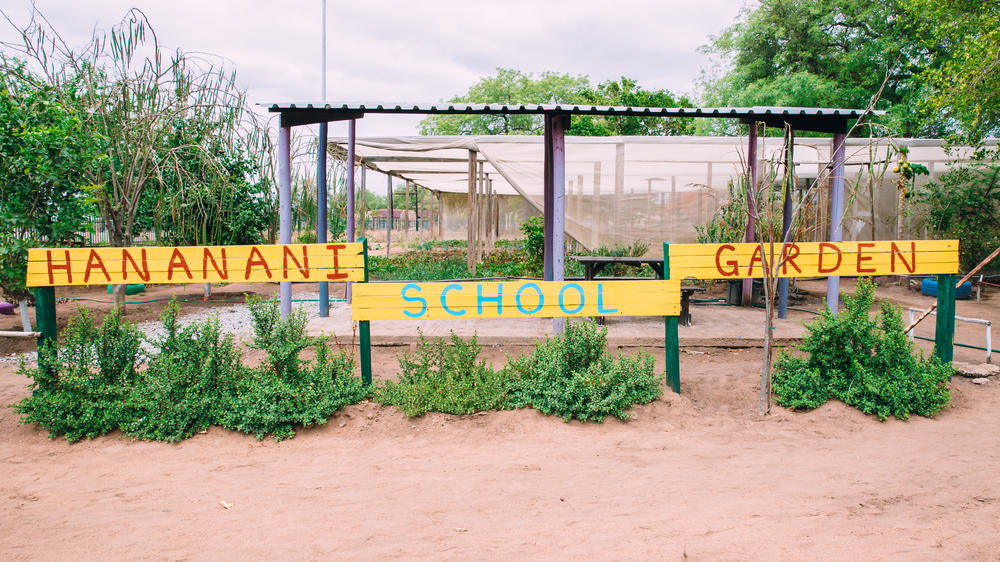 Simbambili Game Lodge