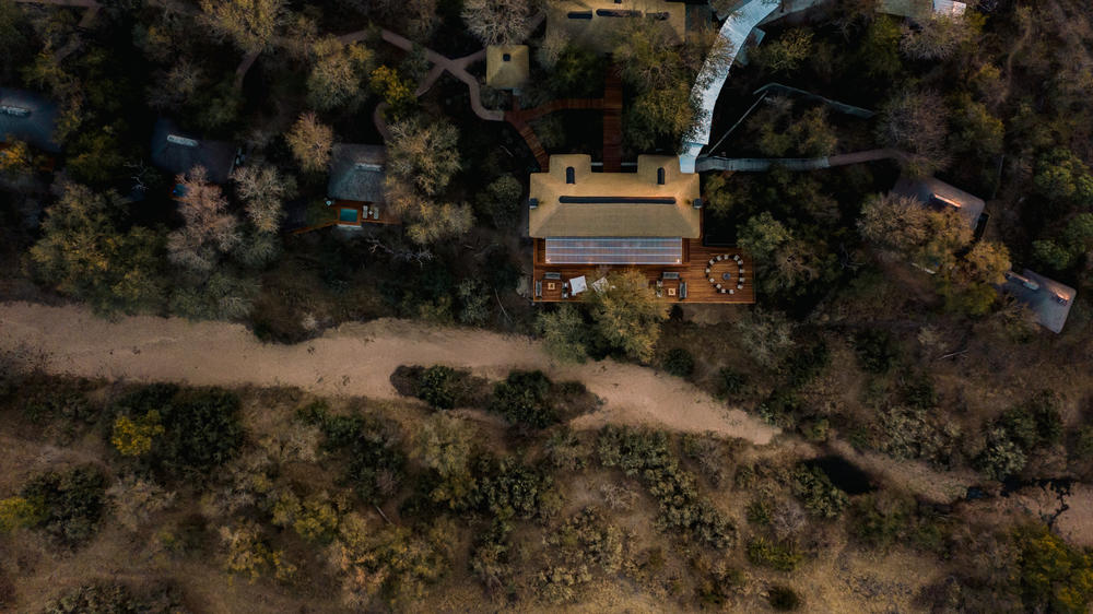 South Africa - 4-day Sabi Sand Safari with Simbambili Game Lodge - Private accommodated