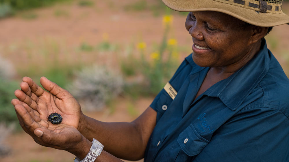 Mowani Mountain Camp