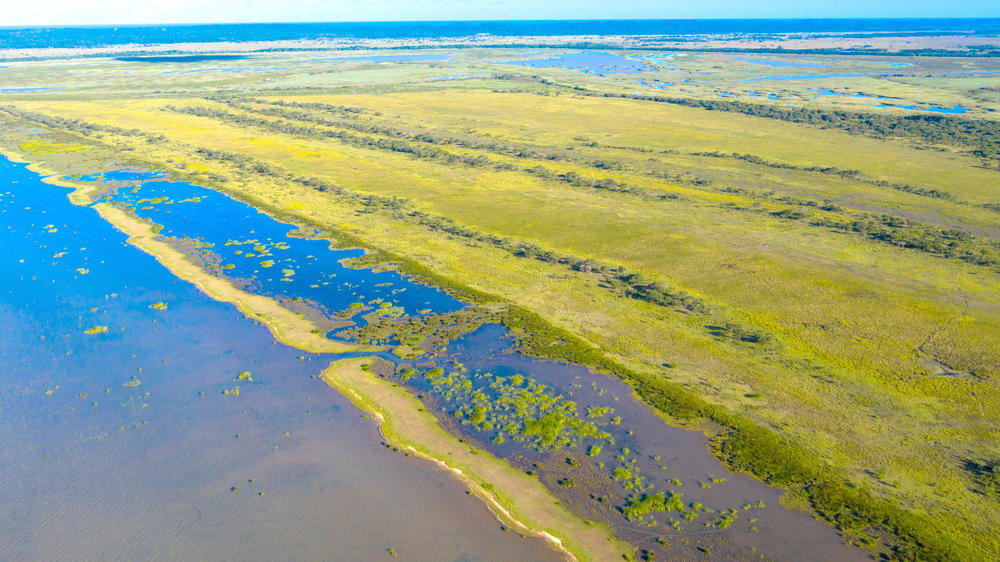 Maputaland Marine Protected Area