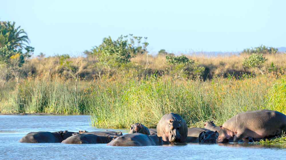 Maputaland Marine Protected Area