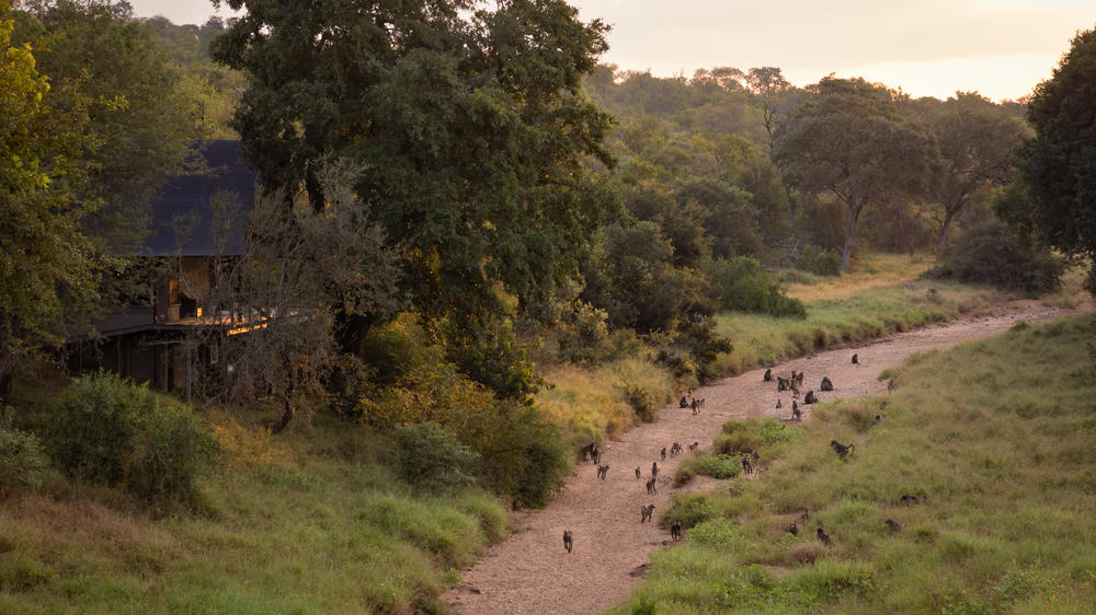 Garonga - Safari Camp