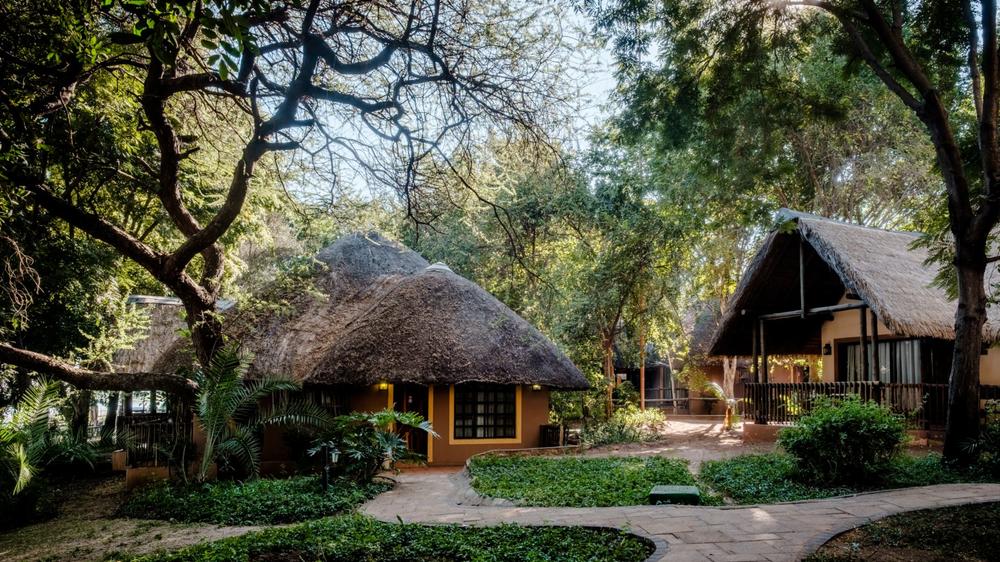 Botswana - 3-day Chobe Safari with Chobe Marina Lodge - Private accommodated