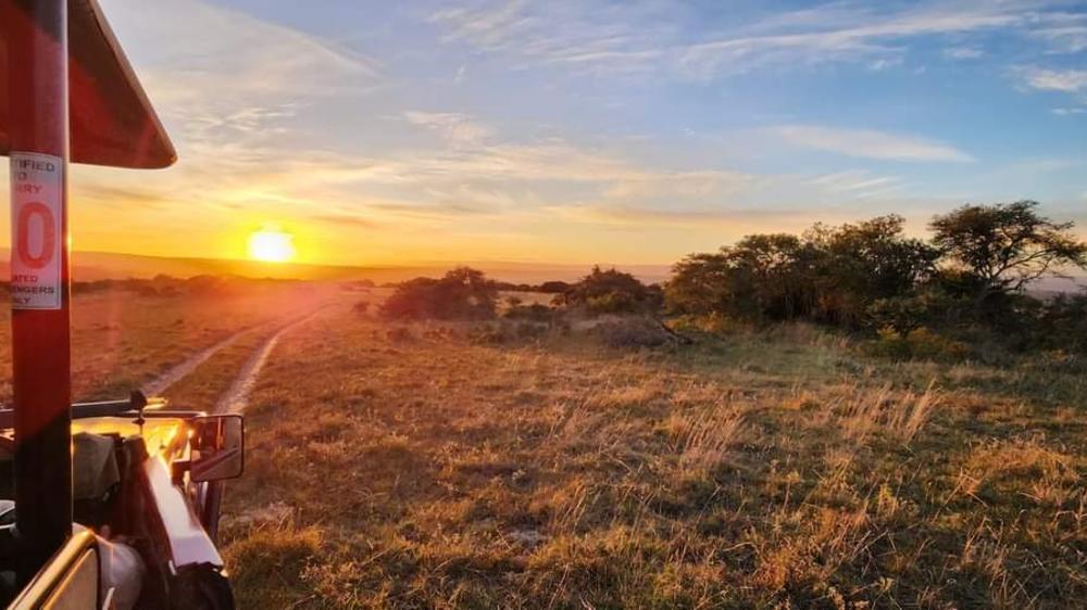 Amakhala Safari Lodge 