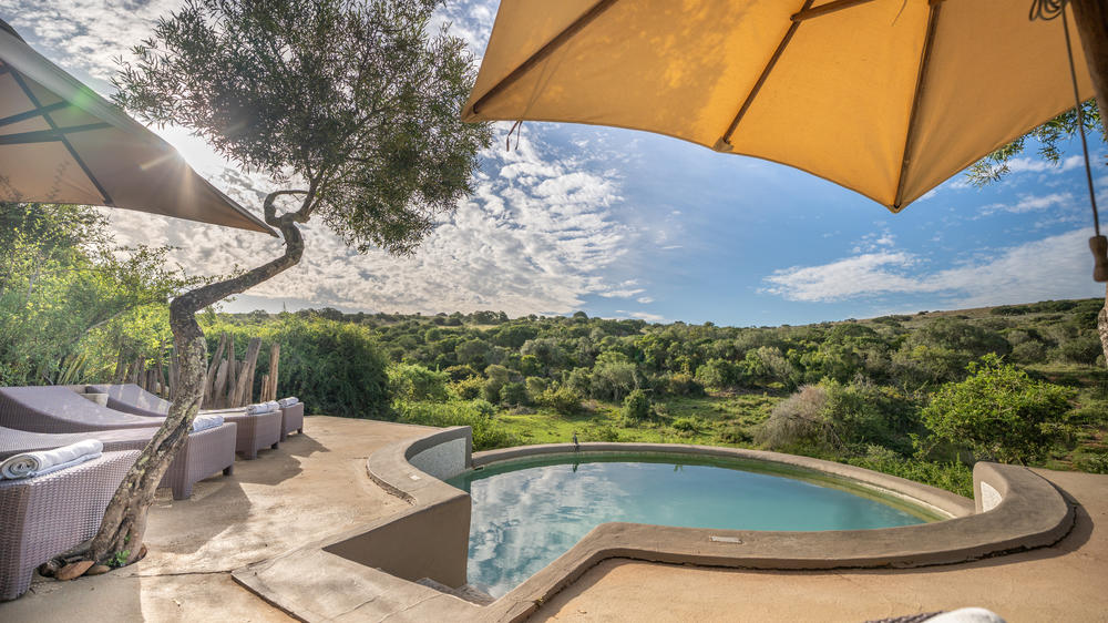 Amakhala Safari Lodge 