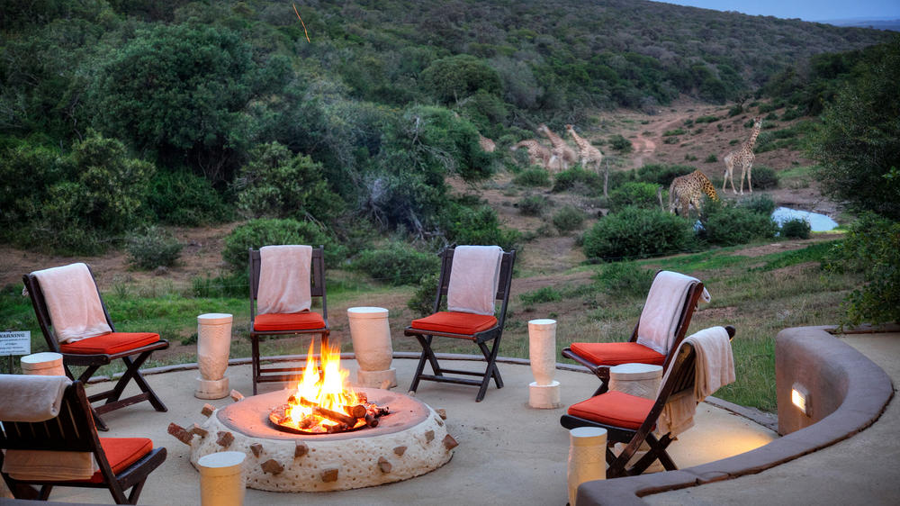 Amakhala Safari Lodge 