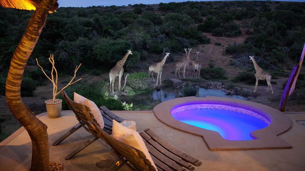 Amakhala Safari Lodge 