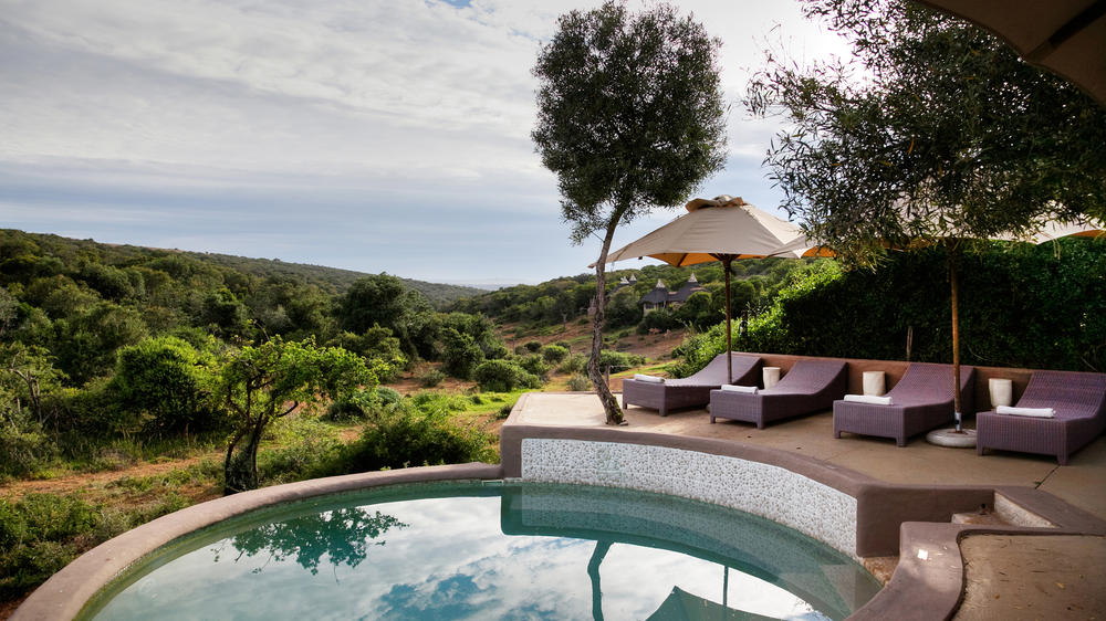 Amakhala Safari Lodge 