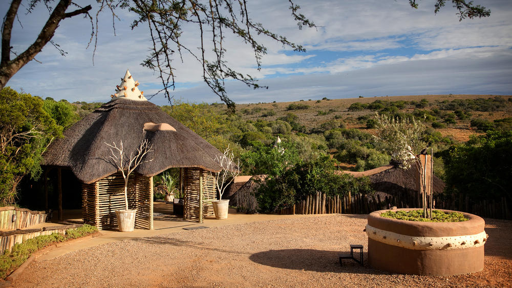 Amakhala Safari Lodge 