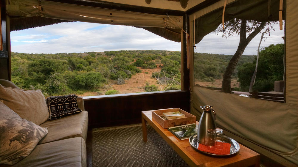 Amakhala Safari Lodge 