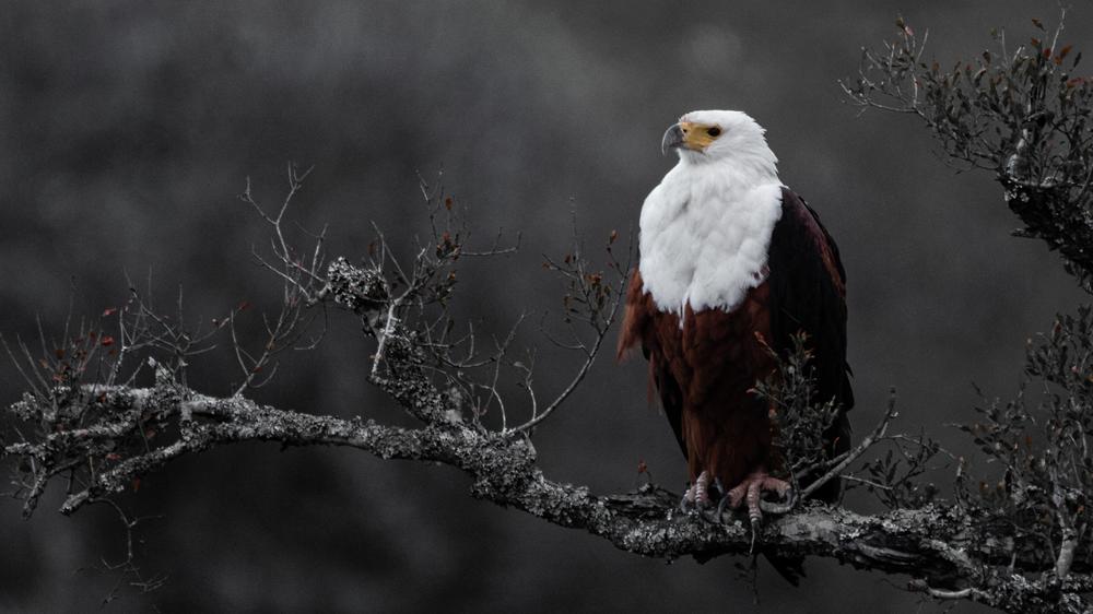 Amakhala Woodbury Lodge