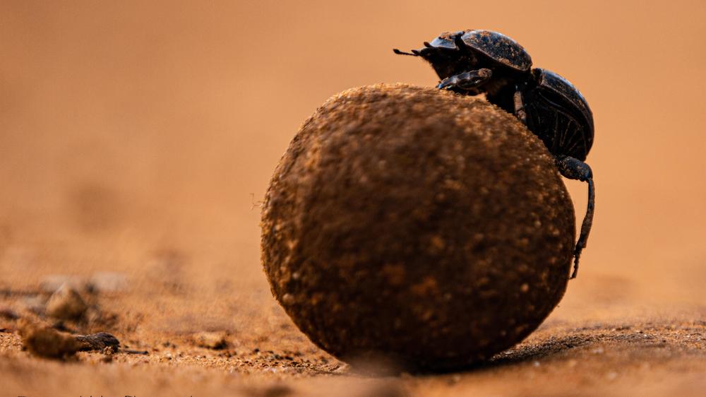 Amakhala Woodbury Lodge