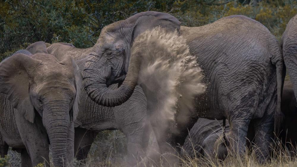 Amakhala Woodbury Lodge