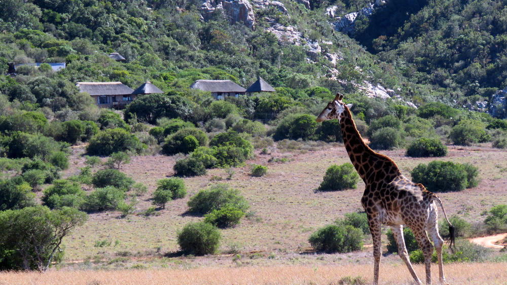 Amakhala Woodbury Lodge