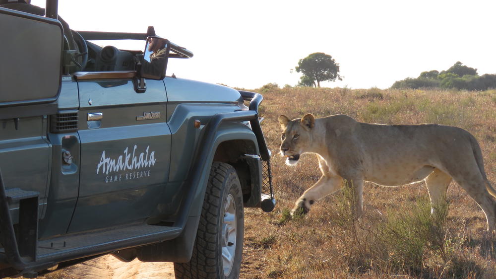 Amakhala Woodbury Lodge