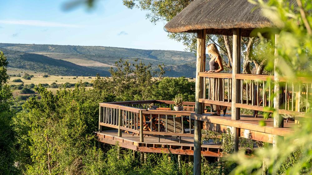 Amakhala Woodbury Lodge