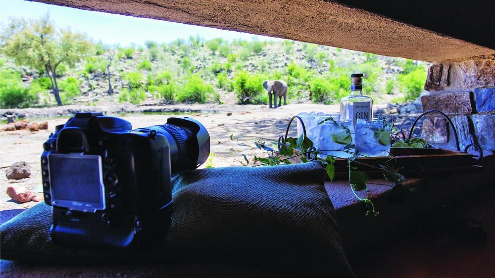 Tuningi Safari Lodge