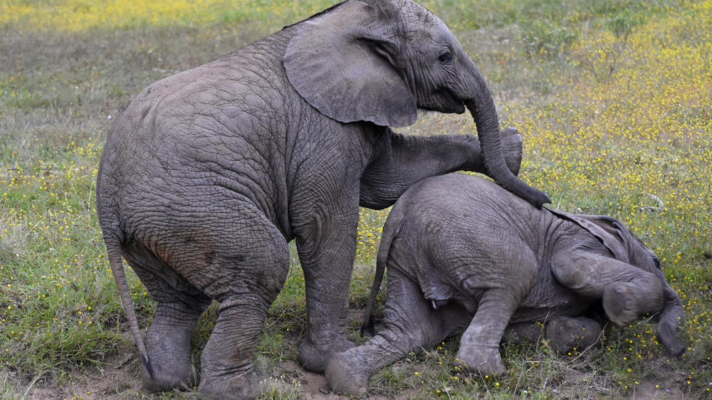 Zuurberg Mountain Village