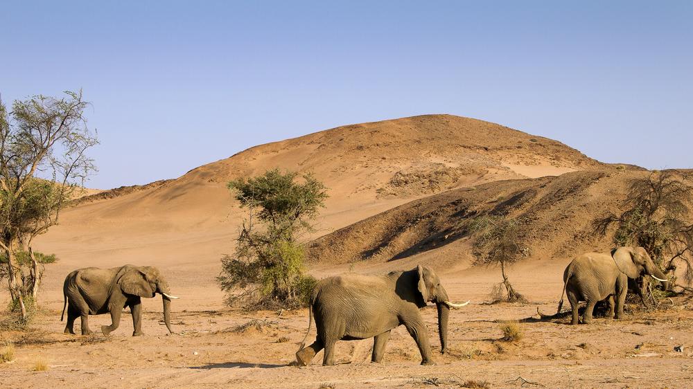 Twyfelfontein Country Lodge