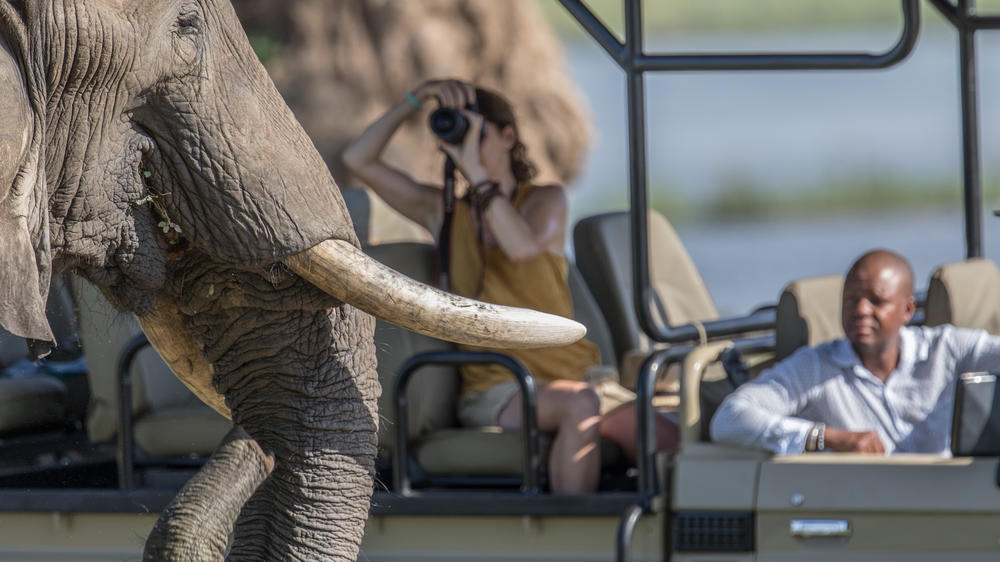African Bush Camps Nyamatusi Camp