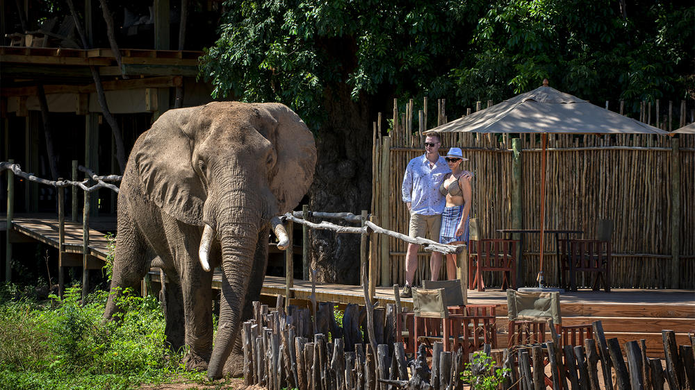 African Bush Camps Nyamatusi Camp