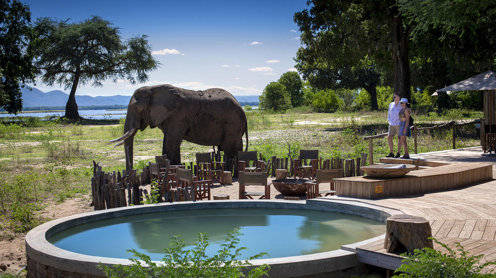 African Bush Camps Nyamatusi Camp