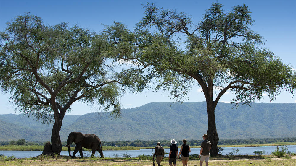 African Bush Camps Nyamatusi Camp