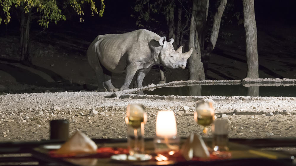 Ongava Private Game Reserve