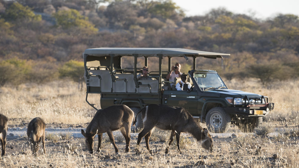 Ongava Private Game Reserve