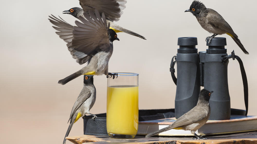 Ongava Private Game Reserve