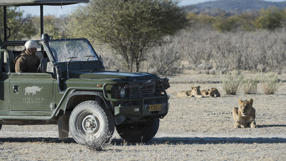 Ongava Private Game Reserve