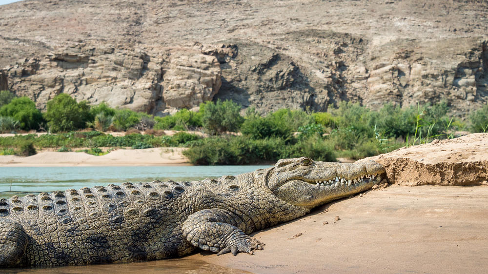 Wilderness Serra Cafema