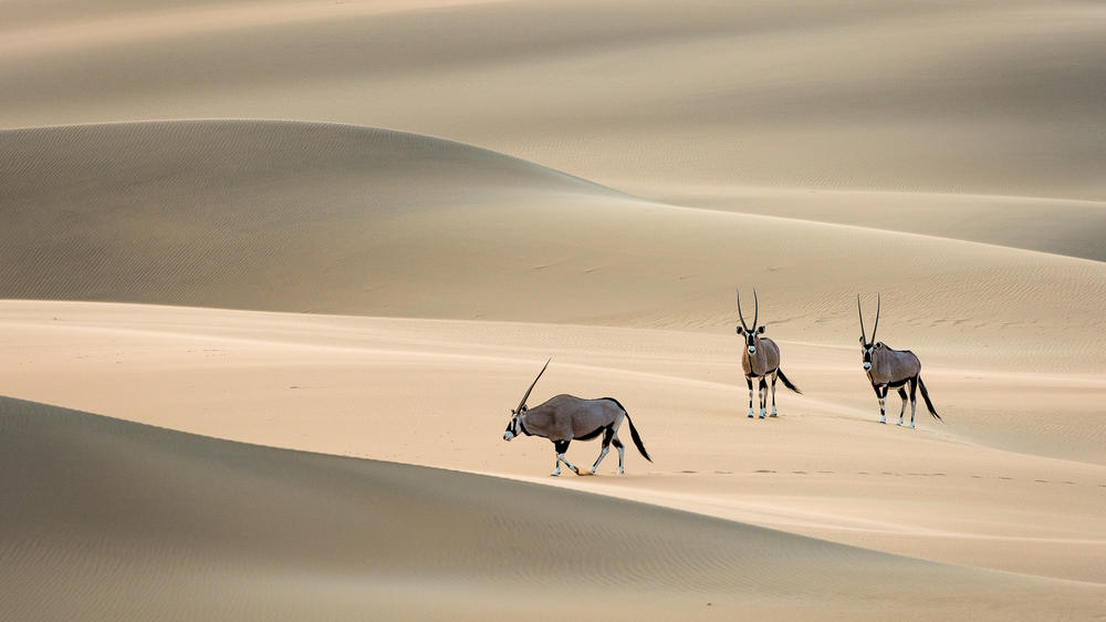 Wilderness Serra Cafema