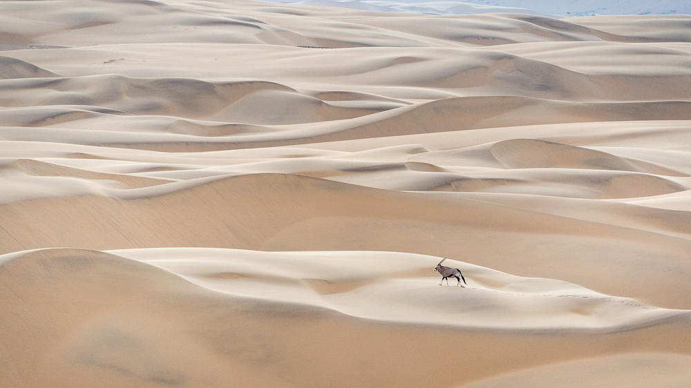 Wilderness Serra Cafema