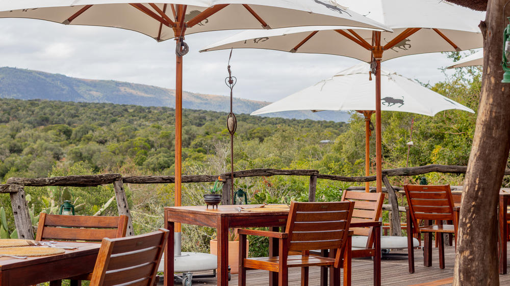 South Africa - 3-day Eastern Cape Safari with Pumba Bush Lodge - Tailored Driven