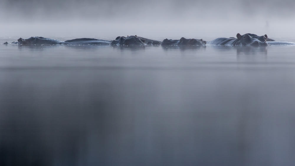 Pumba Msenge Bush Lodge