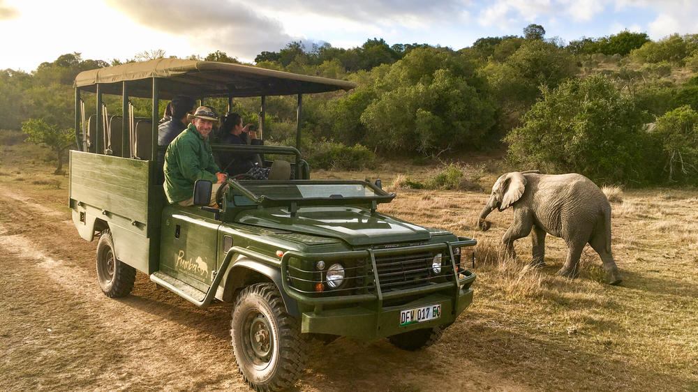 Pumba Msenge Bush Lodge
