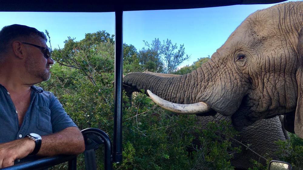 Pumba Msenge Bush Lodge