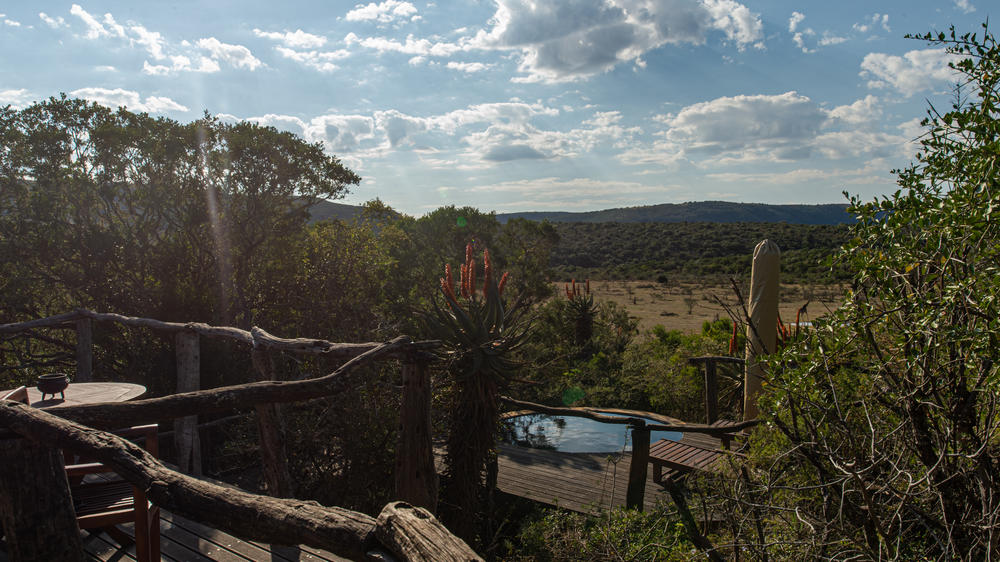 Pumba Msenge Bush Lodge
