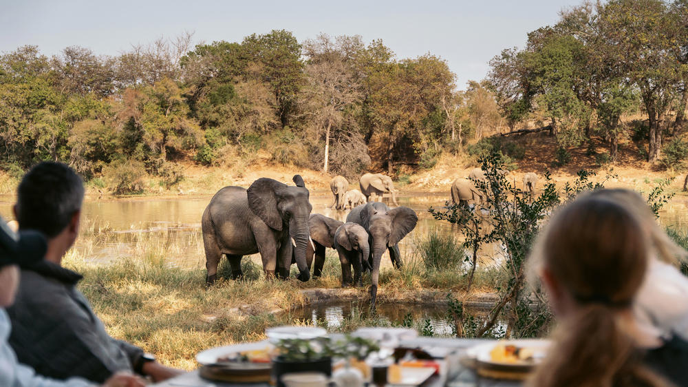 South Africa - 4-day Timbavati Safari with Simbavati River Lodge - Private accommodated