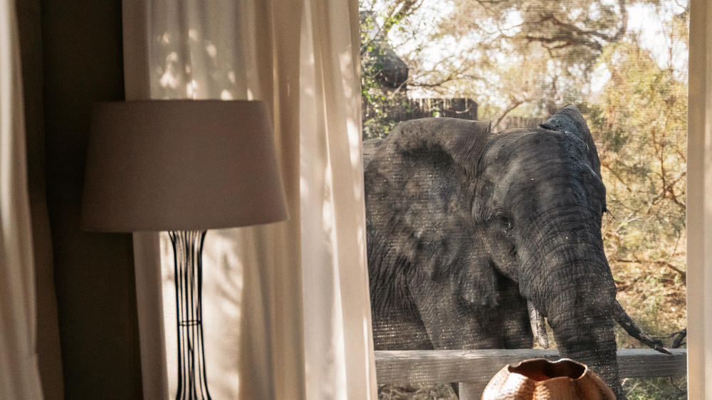 Simbavati River Lodge